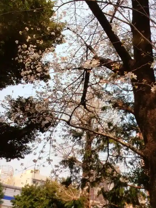 池尻稲荷神社(東京都)