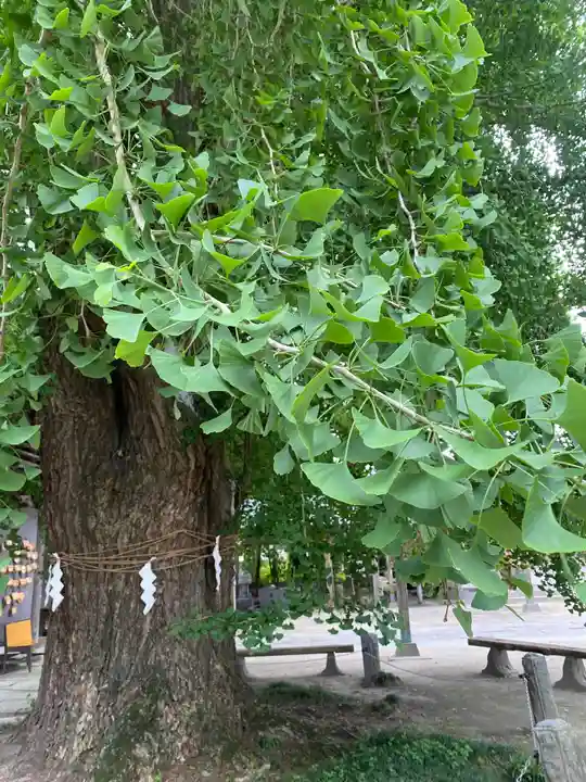 今宮神社(栃木県)
