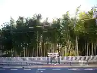 不知森神社(千葉県)