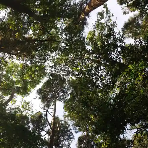 香取神社の自然