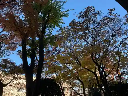 金剛寺(東京都)