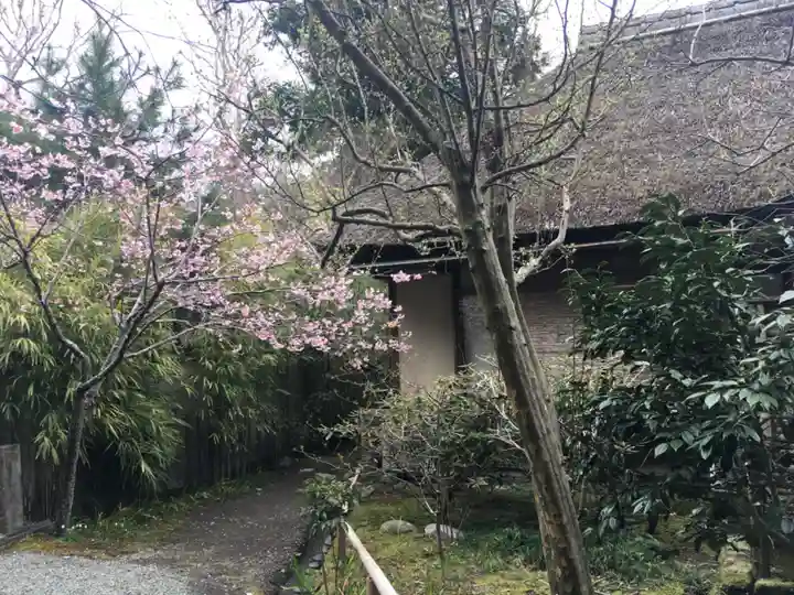 浄智寺(神奈川県)
