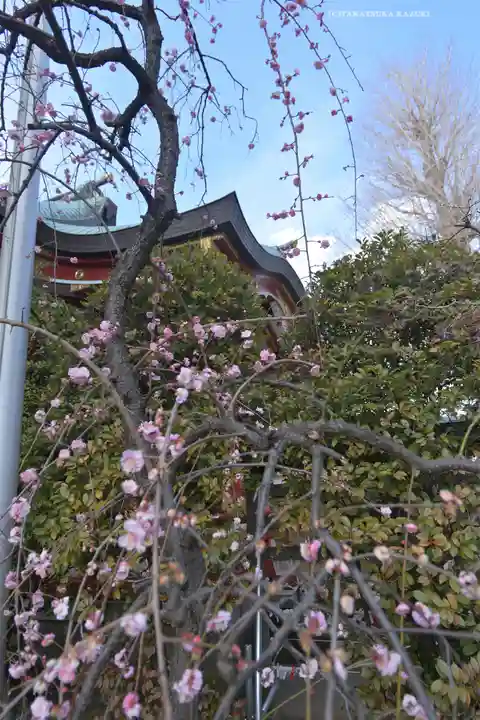 居木神社(東京都)