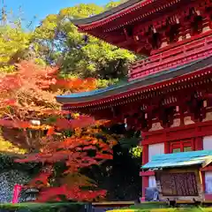 目の霊山　油山寺(静岡県)