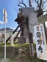 国分寺(相模國分寺)(神奈川県)