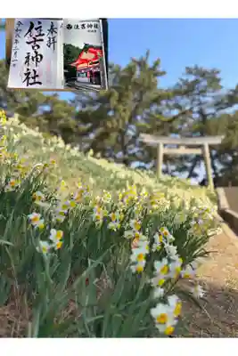 住吉神社の御朱印