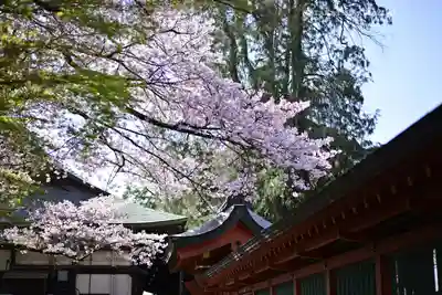 富士山本宮浅間大社(静岡県)