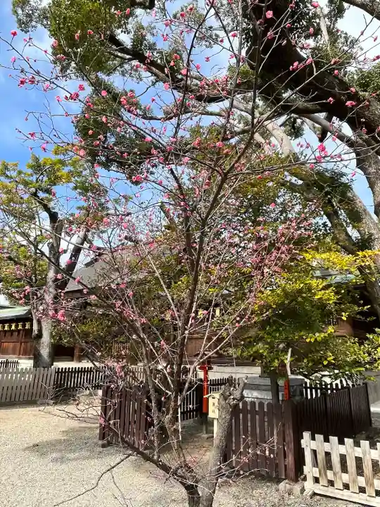 和泉國一之宮 大鳥大社(大阪府)