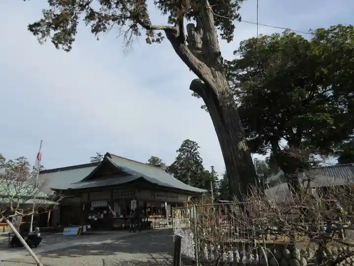 矢奈比賣神社(見付天神)のその他建物