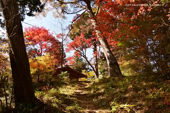 産安社(武蔵御嶽神社摂社)の自然