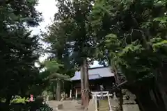 高司神社〜むすびの神の鎮まる社〜の本殿