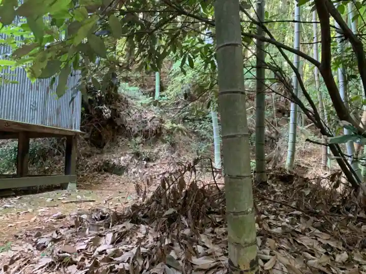 稲荷神社の自然