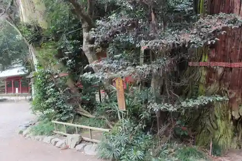 香取神宮(千葉県)