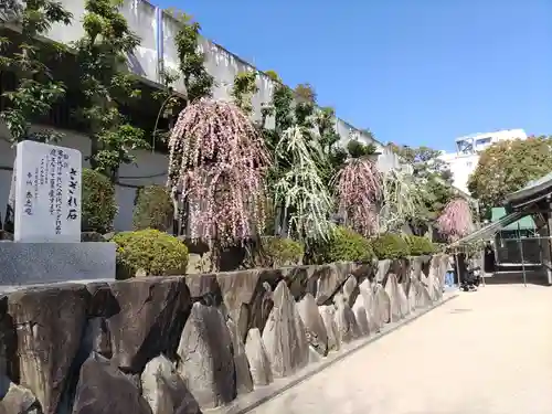 大阪天満宮(大阪府)