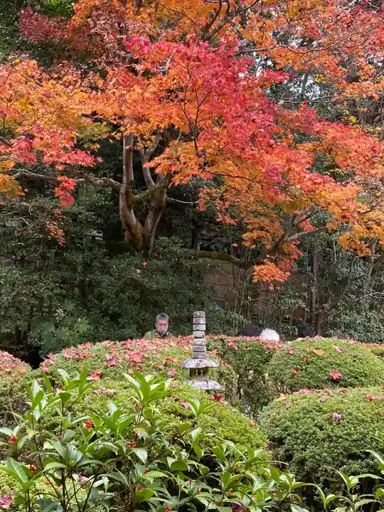 詩仙堂(丈山寺)の自然