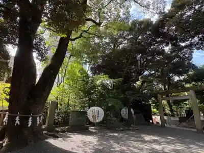 乃木神社(東京都)