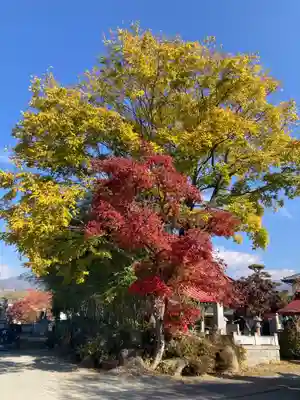 法蓮寺(山梨県)