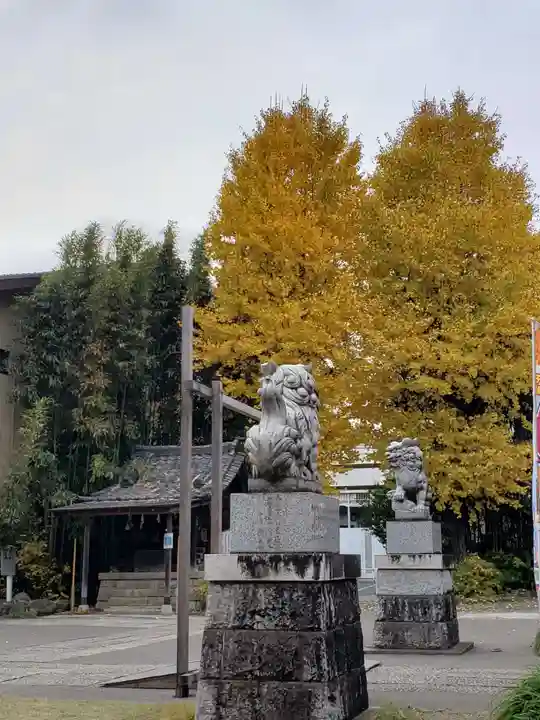 鷺宮八幡神社(東京都)