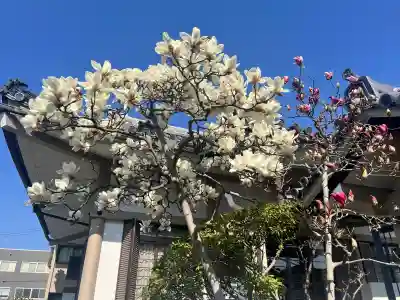 文相寺の{uncategorized: "未分類", other: "その他", undefined: "問題あり", building: "その他建物", grave: "お墓", sacred_gate: "鳥居", guardian: "狛犬", statue: "像", buddha: "仏像", history: "歴史", nature: "自然", garden: "庭園", animal: "動物", pagoda: "塔", temizu: "手水舎", mountain_gate: "山門・神門", sanctuary: "本殿・本堂", subordinate: "末社・摂社", art: "芸術", scenery: "景色", jizo: "地蔵", ema: "絵馬", goshuin: "御朱印", omikuji: "おみくじ", items: "授与品その他", amulet: "お守り", goshuincho: "御朱印帳", eats: "食事", festival: "お祭り", votive_dance: "神楽", shichigosan: "七五三参", wedding: "結婚式", experience: "体験その他", initially: "初詣", around: "周辺", anti_infection: "感染症対策"}
