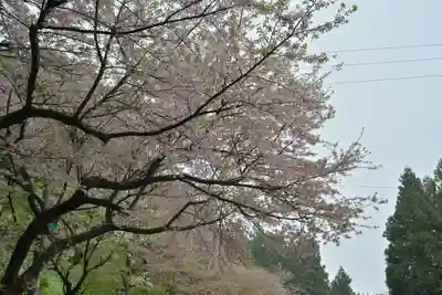 国上寺(新潟県)