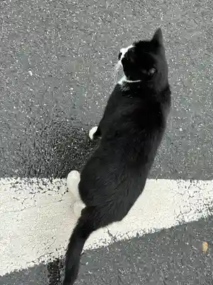 唐澤山神社(栃木県)