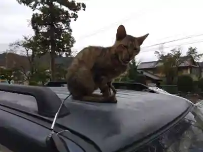 清泰寺(岐阜県)