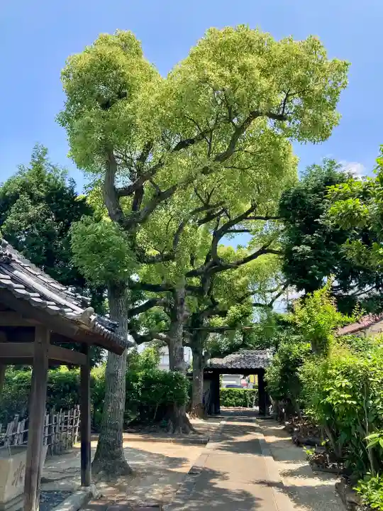弁栄庵 法城寺の山門・神門