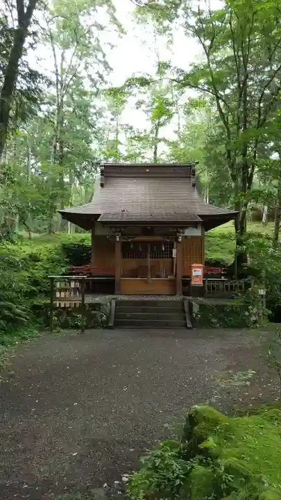 胎内神社の本殿・本堂