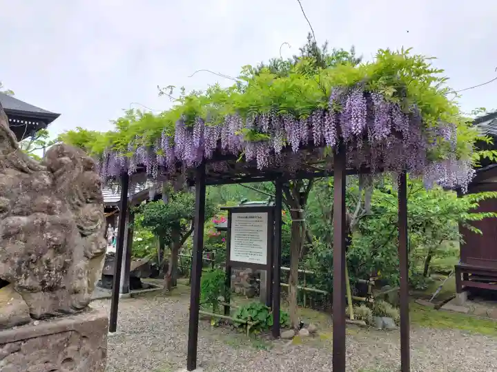 大地主神社の{uncategorized: "未分類", other: "その他", undefined: "問題あり", building: "その他建物", grave: "お墓", sacred_gate: "鳥居", guardian: "狛犬", statue: "像", buddha: "仏像", history: "歴史", nature: "自然", garden: "庭園", animal: "動物", pagoda: "塔", temizu: "手水舎", mountain_gate: "山門・神門", sanctuary: "本殿・本堂", subordinate: "末社・摂社", art: "芸術", scenery: "景色", jizo: "地蔵", ema: "絵馬", goshuin: "御朱印", omikuji: "おみくじ", items: "授与品その他", amulet: "お守り", goshuincho: "御朱印帳", eats: "食事", festival: "お祭り", votive_dance: "神楽", shichigosan: "七五三参", wedding: "結婚式", experience: "体験その他", initially: "初詣", around: "周辺", anti_infection: "感染症対策"}