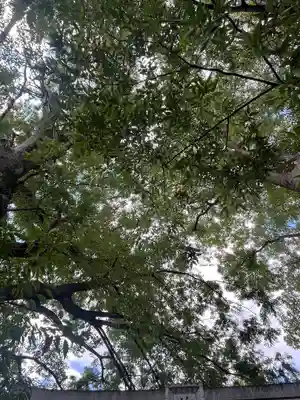 前川神社(埼玉県)
