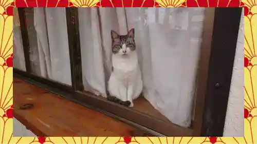 於菊稲荷神社(群馬県)