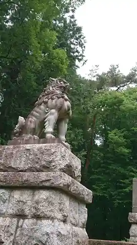 間々田八幡宮の狛犬