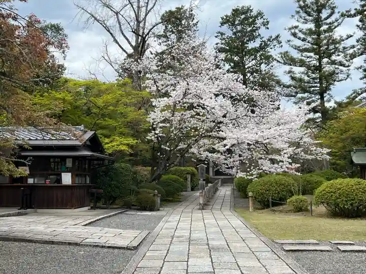廣隆寺(京都府)