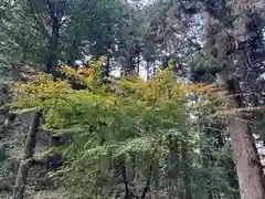 大宮温泉神社の自然