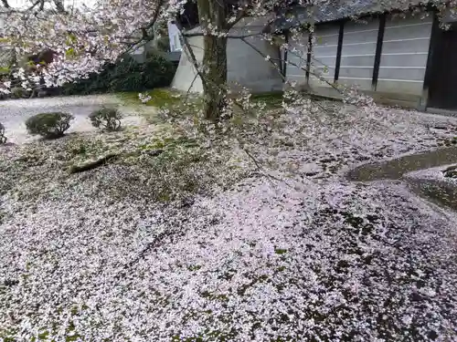 毫攝寺(福井県)
