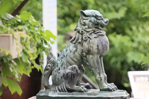 神炊館神社 ⁂奥州須賀川総鎮守⁂の狛犬