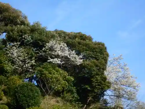 仏行寺（佛行寺）の庭園