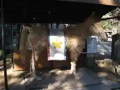 北野天神社(埼玉県)