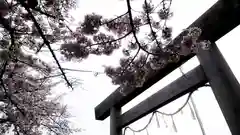 神明社（国府宮神明社）の鳥居