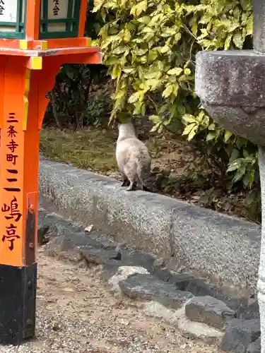 八坂神社(祇園さん)の{uncategorized: "未分類", other: "その他", undefined: "問題あり", building: "その他建物", grave: "お墓", sacred_gate: "鳥居", guardian: "狛犬", statue: "像", buddha: "仏像", history: "歴史", nature: "自然", garden: "庭園", animal: "動物", pagoda: "塔", temizu: "手水舎", mountain_gate: "山門・神門", sanctuary: "本殿・本堂", subordinate: "末社・摂社", art: "芸術", scenery: "景色", jizo: "地蔵", ema: "絵馬", goshuin: "御朱印", omikuji: "おみくじ", items: "授与品その他", amulet: "お守り", goshuincho: "御朱印帳", eats: "食事", festival: "お祭り", votive_dance: "神楽", shichigosan: "七五三参", wedding: "結婚式", experience: "体験その他", initially: "初詣", around: "周辺", anti_infection: "感染症対策"}