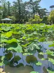 白山神社(新潟県)