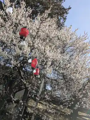 玉眞院玉川大師(東京都)