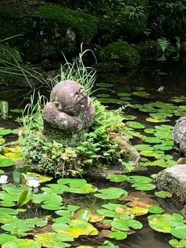 乾徳寺の庭園