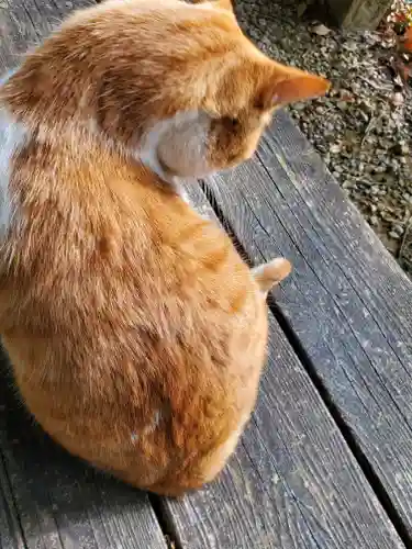 唐澤山神社(栃木県)