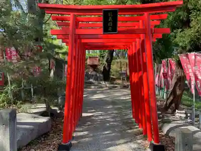 能蔵知恵文殊稲荷大明神の鳥居