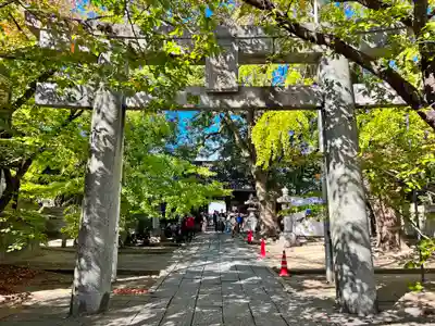 鳥飼八幡宮(福岡県)