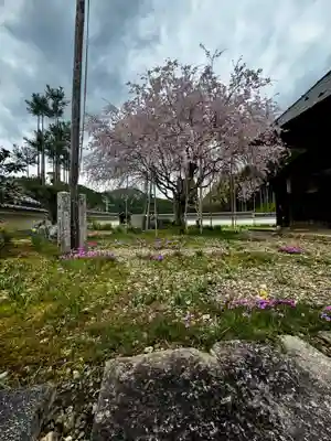 宝泉寺(京都府)