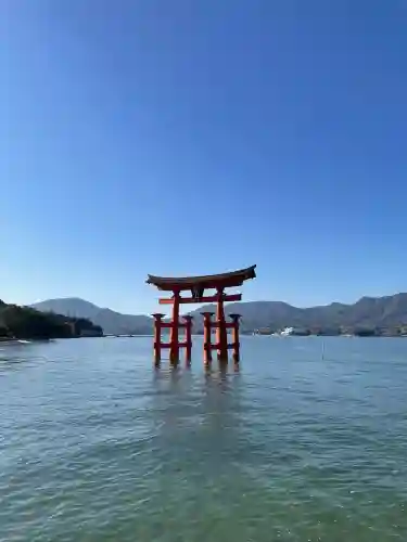 厳島神社の{uncategorized: "未分類", other: "その他", undefined: "問題あり", building: "その他建物", grave: "お墓", sacred_gate: "鳥居", guardian: "狛犬", statue: "像", buddha: "仏像", history: "歴史", nature: "自然", garden: "庭園", animal: "動物", pagoda: "塔", temizu: "手水舎", mountain_gate: "山門・神門", sanctuary: "本殿・本堂", subordinate: "末社・摂社", art: "芸術", scenery: "景色", jizo: "地蔵", ema: "絵馬", goshuin: "御朱印", omikuji: "おみくじ", items: "授与品その他", amulet: "お守り", goshuincho: "御朱印帳", eats: "食事", festival: "お祭り", votive_dance: "神楽", shichigosan: "七五三参", wedding: "結婚式", experience: "体験その他", initially: "初詣", around: "周辺", anti_infection: "感染症対策"}