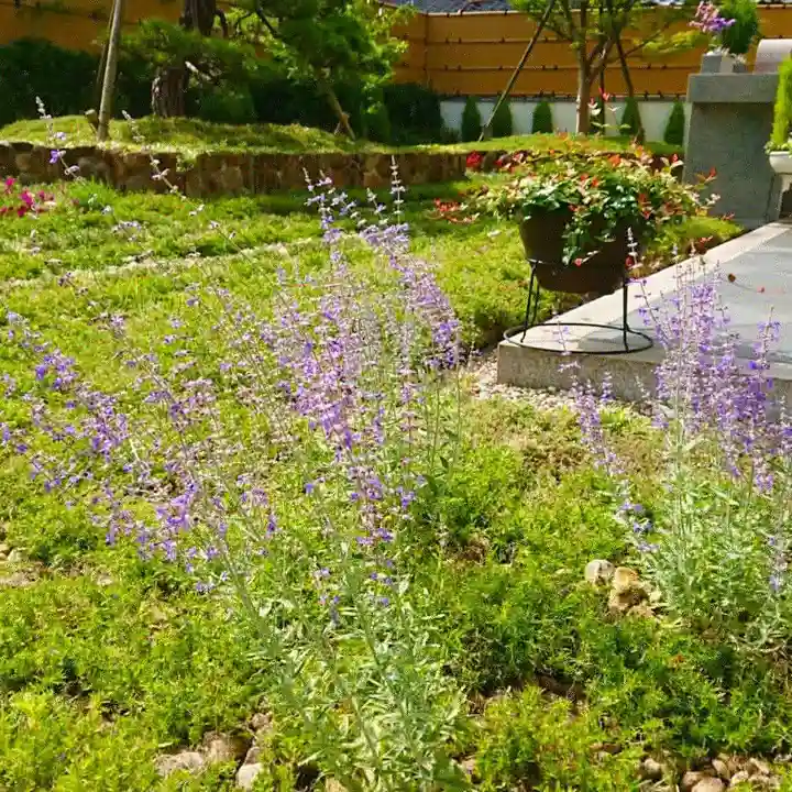寿量山 速成寺の庭園