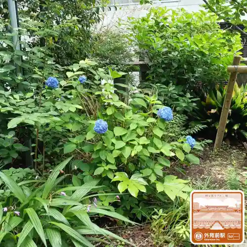 青山熊野神社(東京都)
